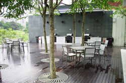 The Pier at Robertson (D9), Apartment #112856552